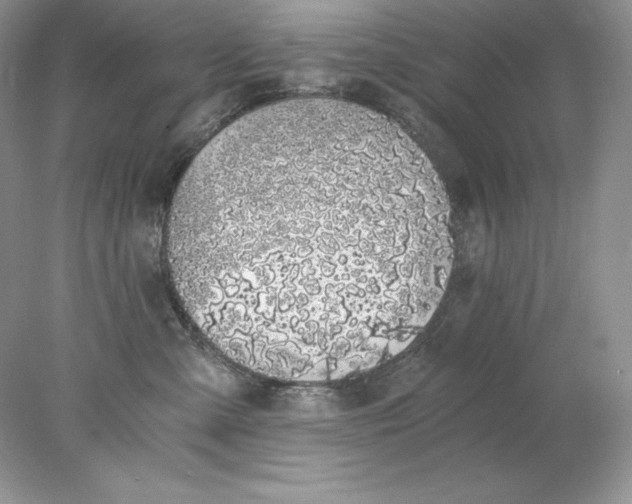 X0000078260427200611172009