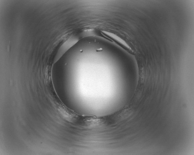 X0000078260428200611172009