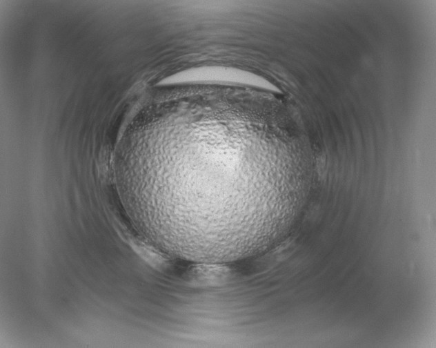 X0000078260429200611172009