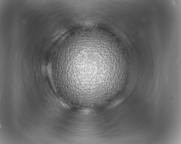 X0000078260432200611172009