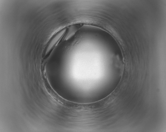 X0000078260434200611172009