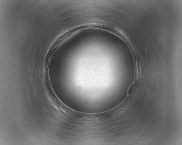 X0000078260435200611172009