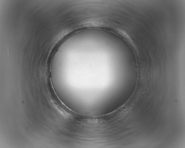 X0000078260439200611172009