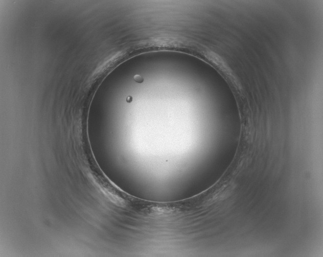 X0000078260442200611172009