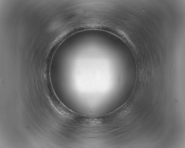 X0000078260443200611172009