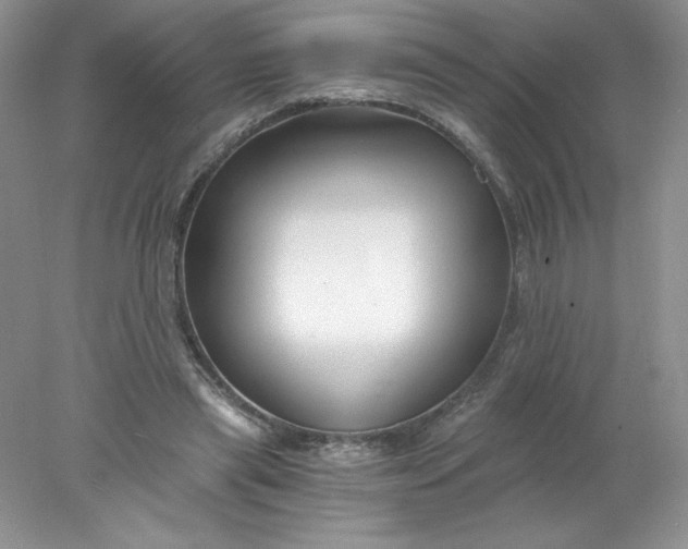 X0000078260445200611172009