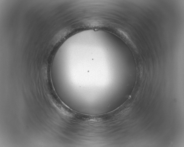 X0000078260447200611172009