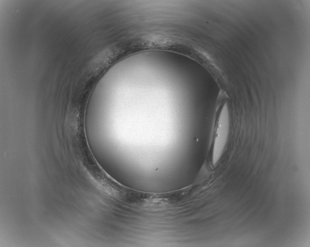X0000078260451200611172009