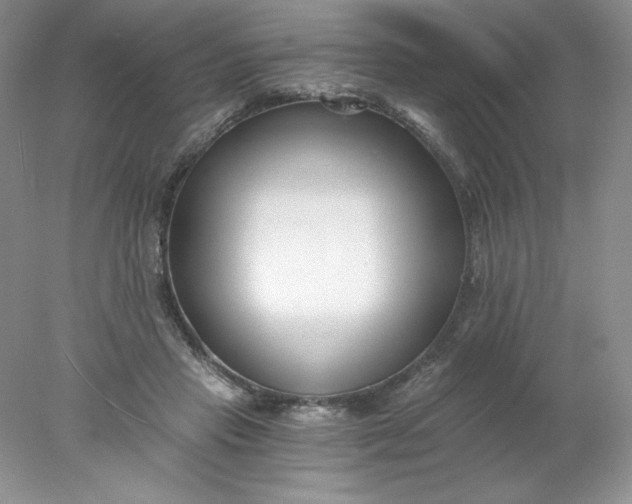 X0000078260453200611172009