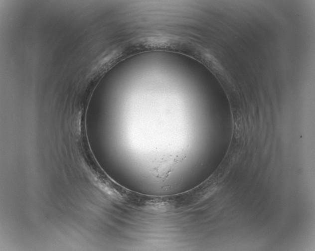 X0000078260454200611172009
