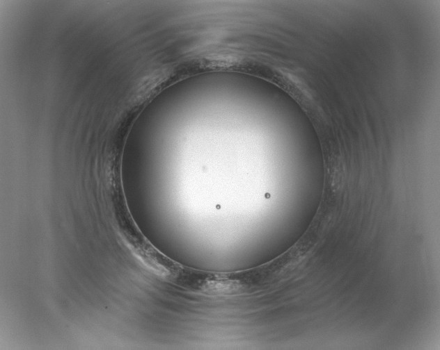 X0000078260455200611172009