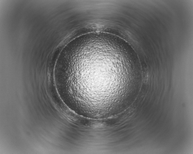 X0000078260456200611172009