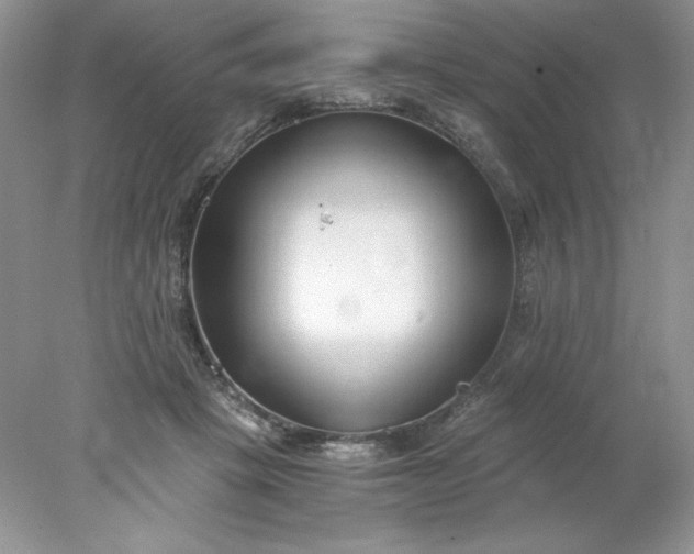X0000078260457200611172009