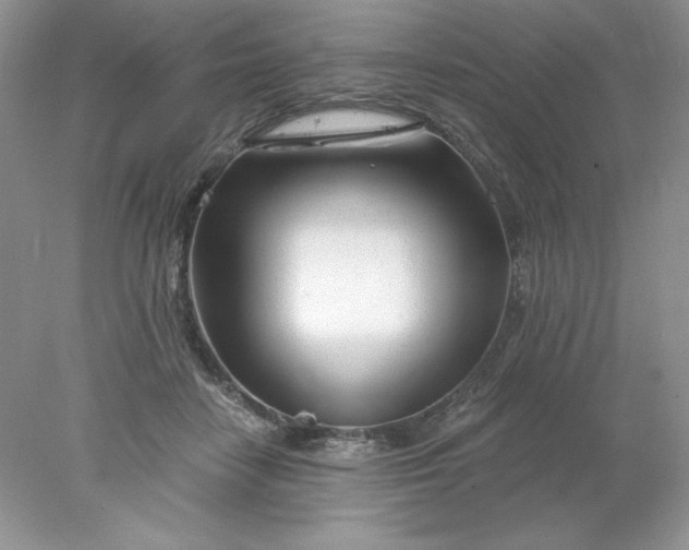 X0000078260458200611172009