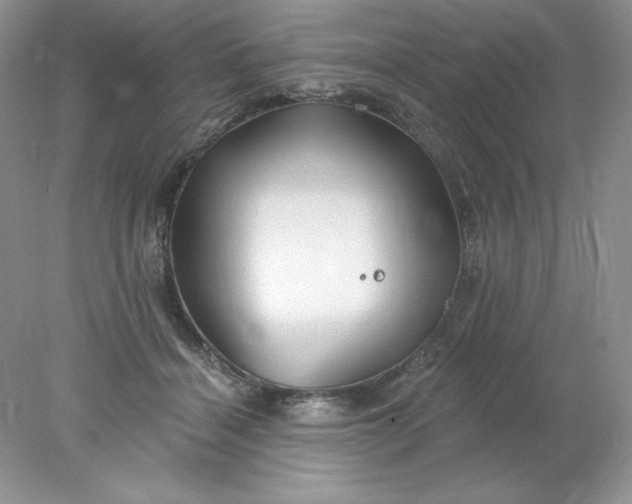 X0000078260460200611172009
