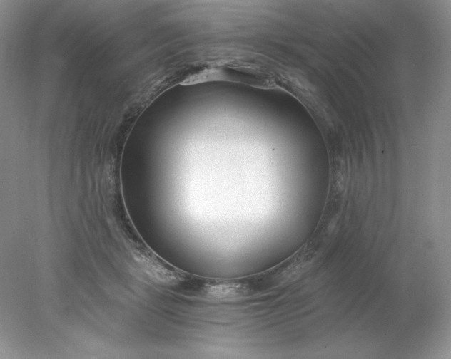 X0000078260461200611172009