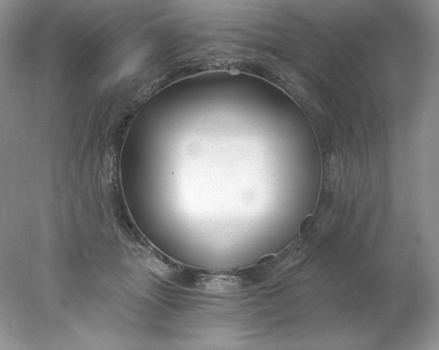 X0000078260463200611172009