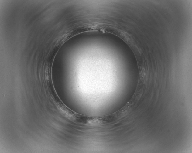 X0000078260470200611172009