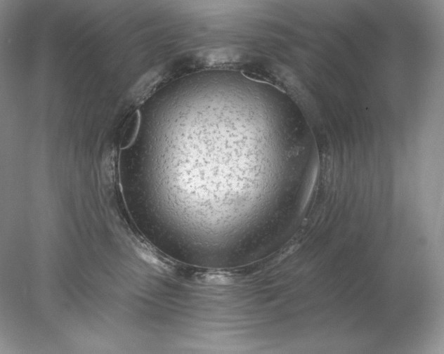 X0000078260475200611172009