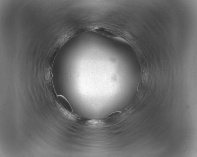 X0000078260477200611172009