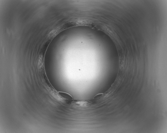X0000078260478200611172009
