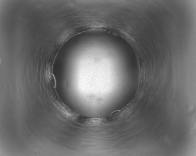 X0000078260479200611172009