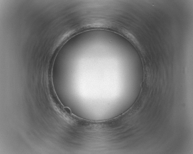 X0000078260482200611172009