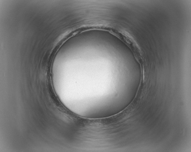 X0000078260483200611172008