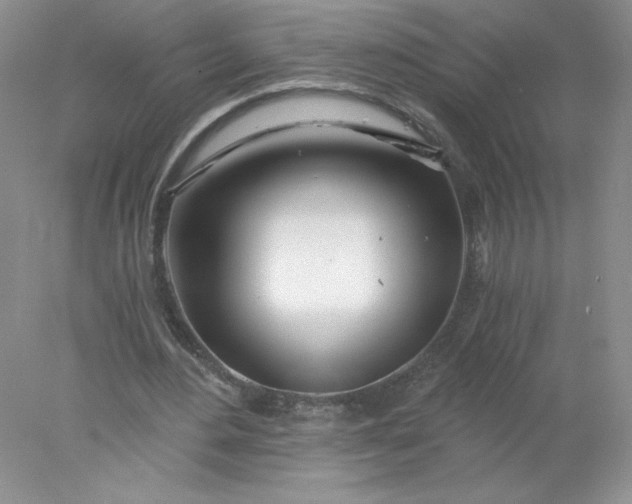 X0000078260484200611172008