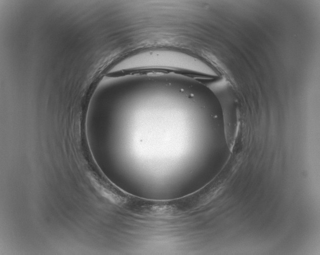 X0000078260493200611172008