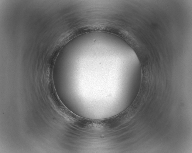 X0000078260498200611172008