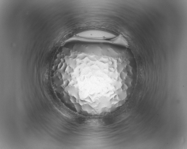 X0000078260499200611172008