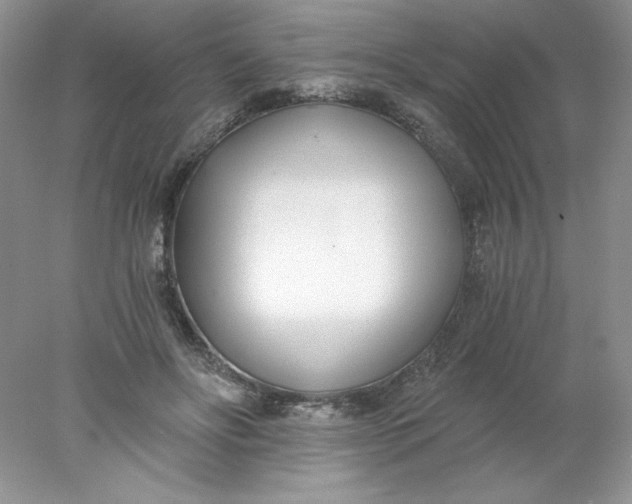 X0000078260502200611172008