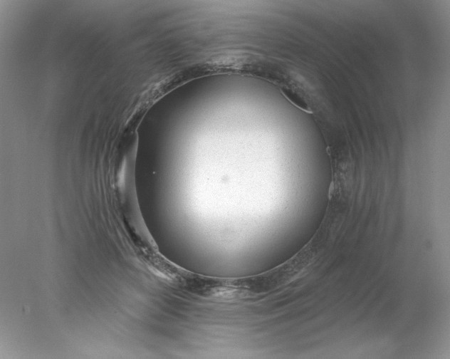 X0000078260504200611172008