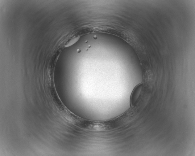 X0000078260506200611172008