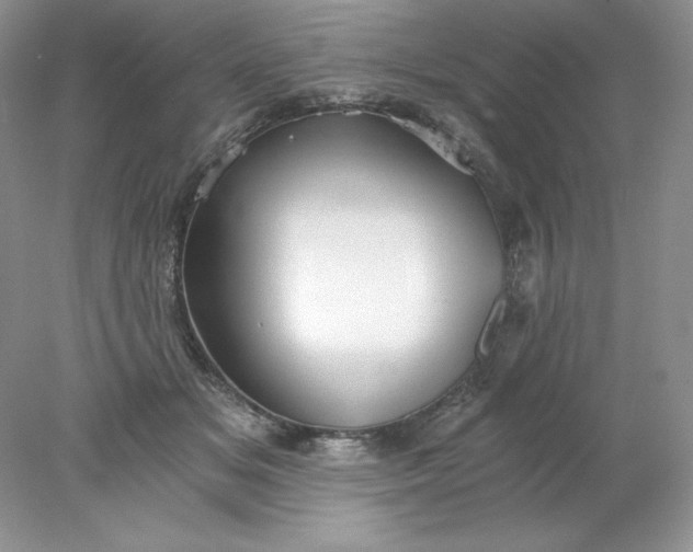 X0000078260509200611172008