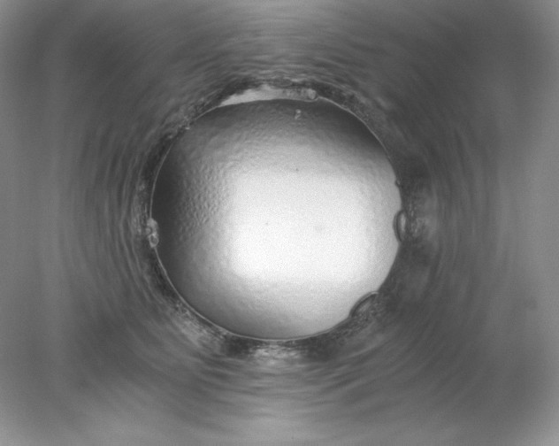 X0000078260515200611172008