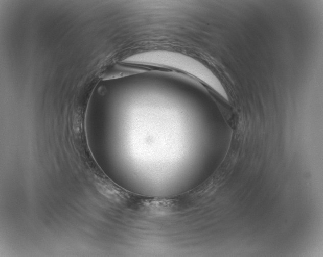 X0000078260517200611172008