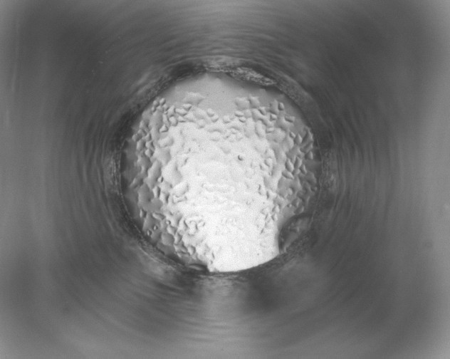 X0000078260523200611172008