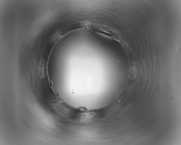 X0000078260525200611172008