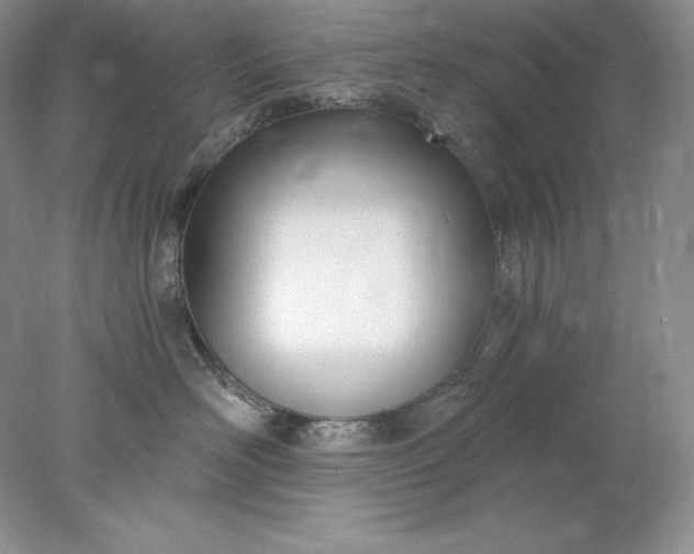 X0000078260526200611172008
