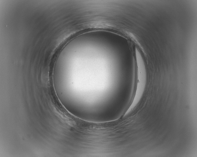 X0000078260531200611172007