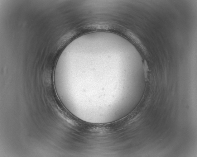 X0000078260537200611172007