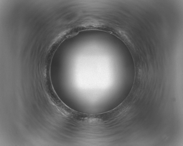 X0000078260539200611172007