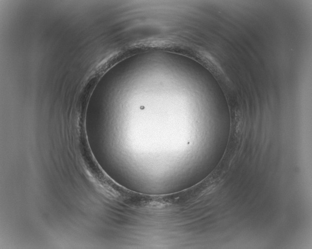 X0000078260542200611172007