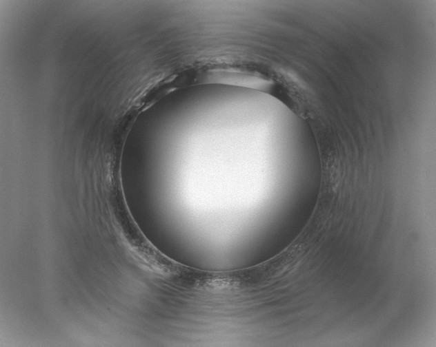 X0000078260546200611172007