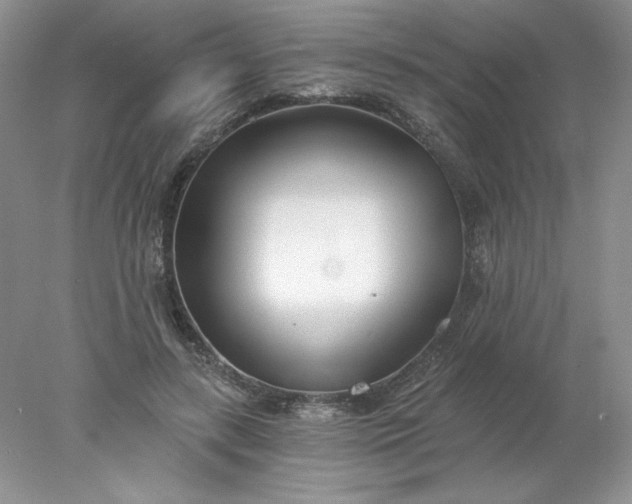 X0000078260547200611172007
