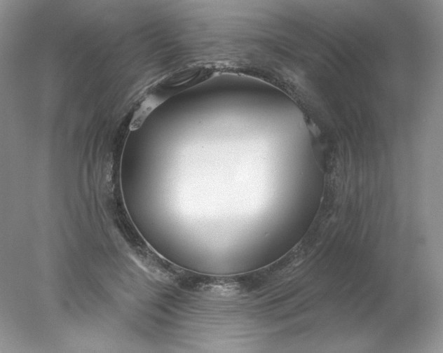 X0000078260548200611172007