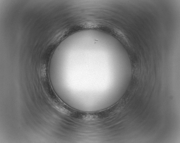X0000078260549200611172007