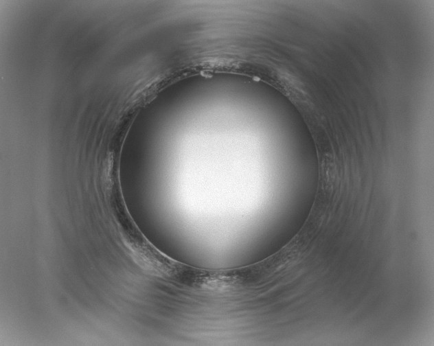 X0000078260550200611172007